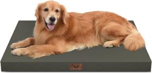 Waterproof Orthopedic Outdoor Dog B...