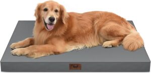 Waterproof Orthopedic Outdoor Dog B...