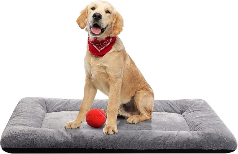 Dog Crate Pad Washable Dog Bed for Crate Medium Cozy Mat 36-Inch Gray