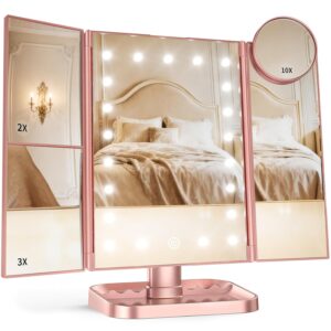 HUONUL 2X/3X/10X Magnifying Vanity ...