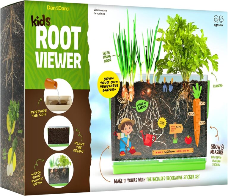 Root Viewer Kit for Kids - Grow Your Own Plant for Boys & Girls Gifts