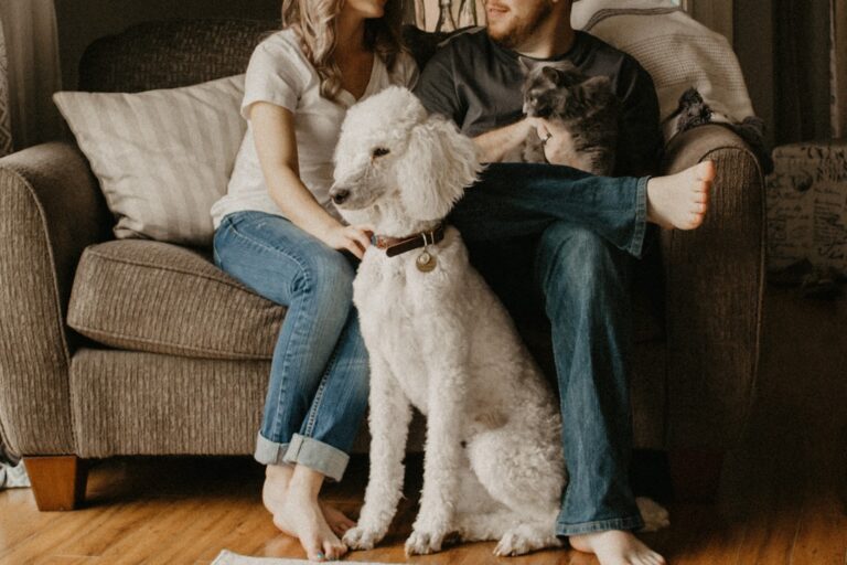 How to Keep Your Home Clean and Organized With Pets