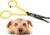 Tiny Trim 4.5″ Ball-Tipped Scissor for Dog, Cat and all Pet Grooming – Ear, Nose, Face & Paw – Scaredy Cut’s small Safety Scissor Yellow